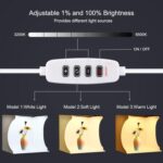 PULUZ Photo Lighting Studio 30x30 cm მინი ფოტოსტუდია - Image 5