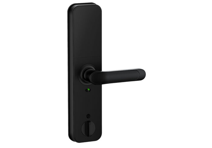 Liliwise Smart Door Lock H5B სმარტ სახელური - Image 7