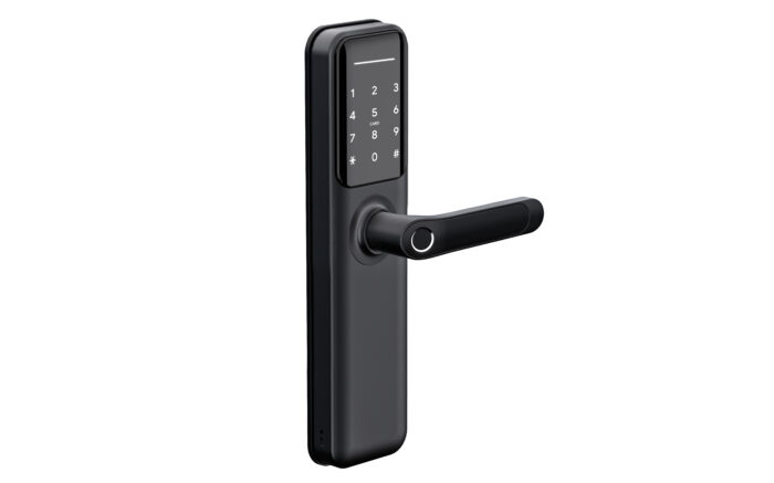 Liliwise Smart Door Lock H6B სმარტ სახელური - Image 6