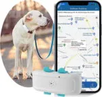 Tkstar TK911pro 4G მინი GPS ტრეკერი შინაური ცხოველებისთვის (ძაღლი / კატა) - IP67 წყალგაუმტარი - Image 2