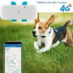 Tkstar TK911pro 4G მინი GPS ტრეკერი შინაური ცხოველებისთვის (ძაღლი / კატა) - IP67 წყალგაუმტარი
